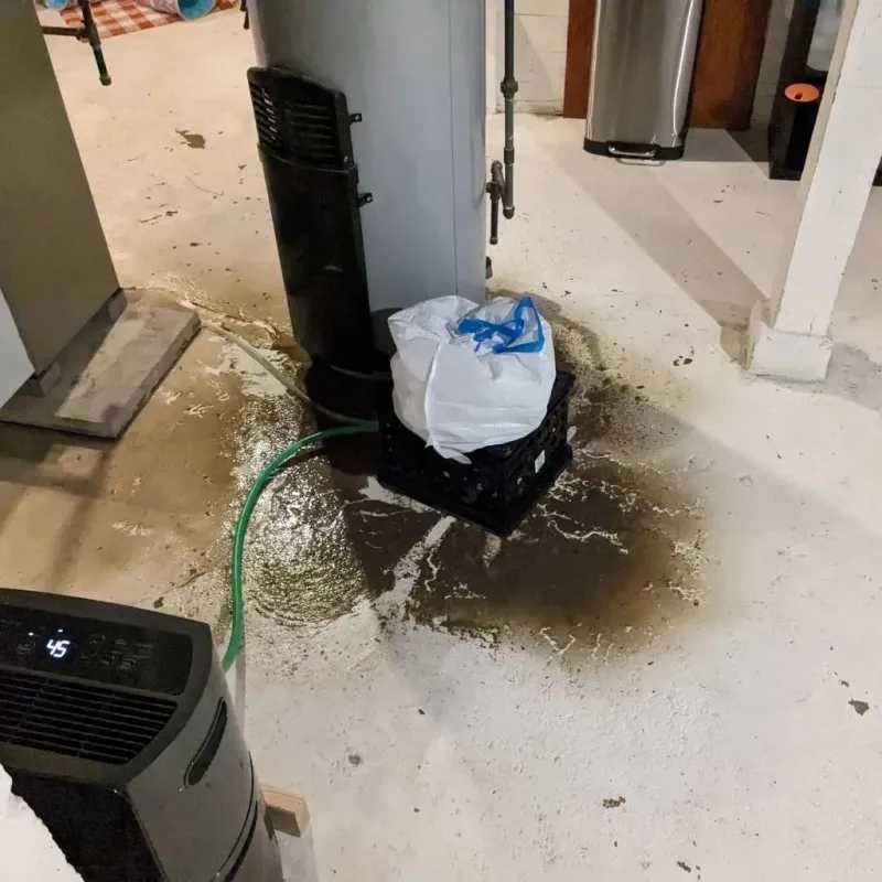 Sewage Backup Cleanup Service in Gosnell, AR